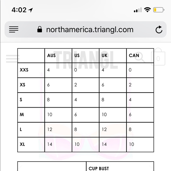 Triangl Swimsuit ! NEVER WORN ! - Picture 2 of 3